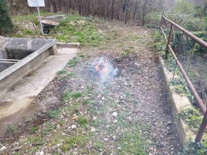 BaAevo GriA¾ane 4